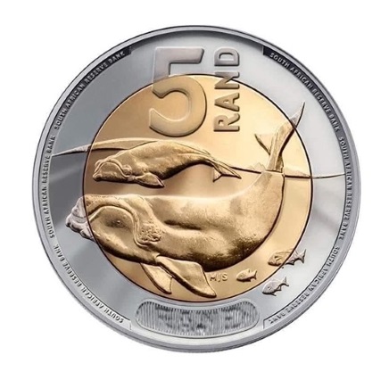 3D Scanning Service Cost - 3D Scanning Price - 3D Printing Store Johannesburg